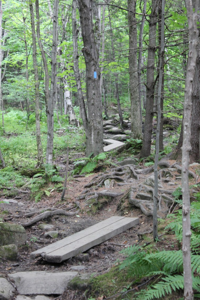 Stowe Pinnacle Trail, Stowe, Vermont, hiking, mountain hiking, mountains, The Adirondack Mountains, Adirondack, New York, Green Mountain State, outdoors, summer activities, summer hikes, Lake Champlain