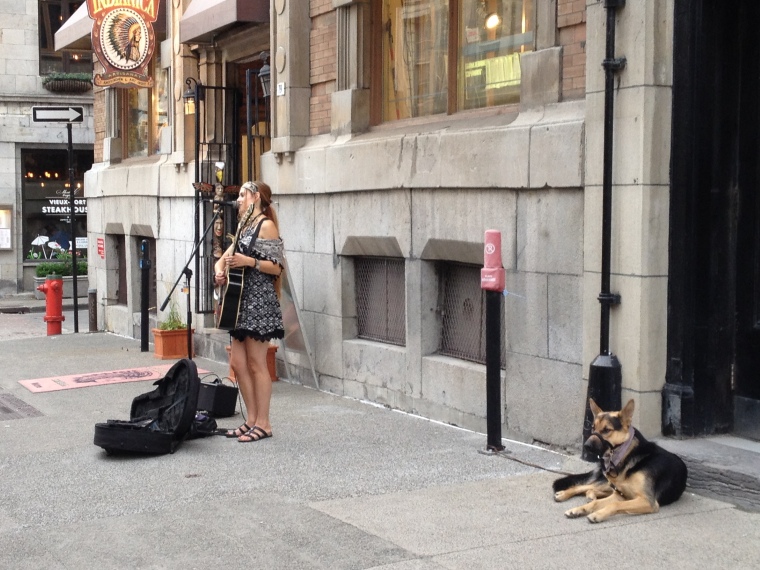 Montreal, city streets, street artist, singer, German Shepard, street dog, dog, canine, city, Quebec, Canada