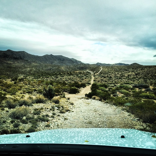 Off-Roading Vehicle Desert New Mexico