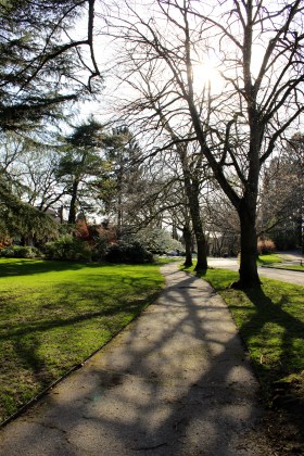 Volunteer Park in Seattle Washington