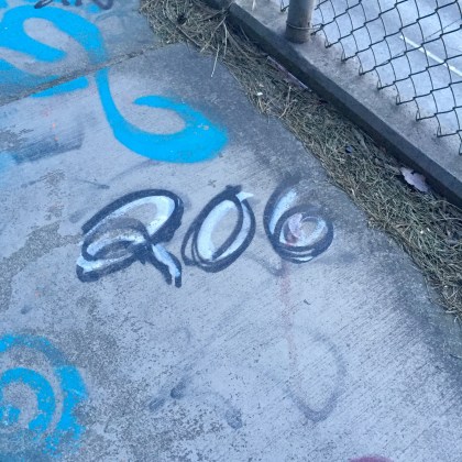 Seattle 206 area code