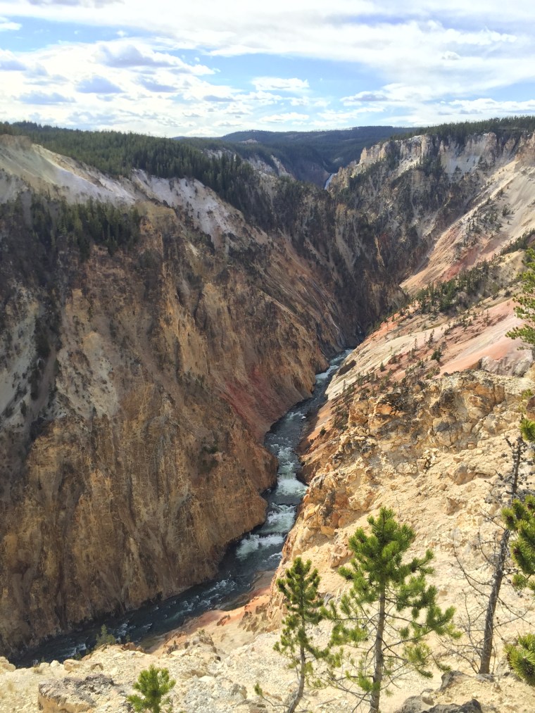 Yellowstone National Park Canyon