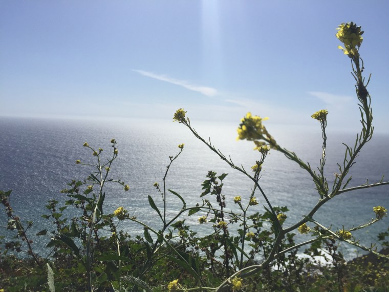 Pacific Coast Highway Road Trip