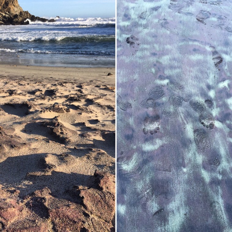 purple sand beach in Big Sur